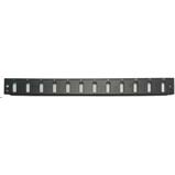 Panel 12xSC duplex for 19' Optical bath black